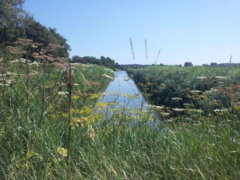 Zonnig Zuid Villa Dirkshorn Szoba fotó